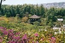 [2000-4kyoto50.jpg]