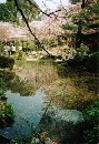 [2000-4kyoto56.jpg]