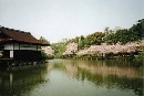 [2000-4kyoto60.jpg]